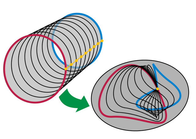 TopologyHomotopyTheory.png